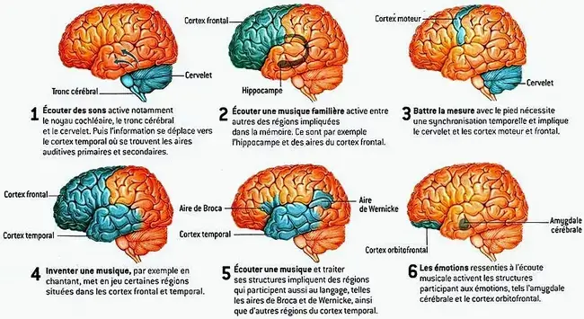 les effets